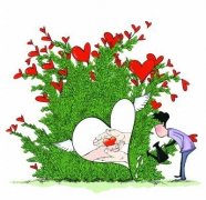 ���ĸ����